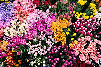 恐游合集《C.H.A.I.N.G.E.D.》免费发布 40部各类型收入