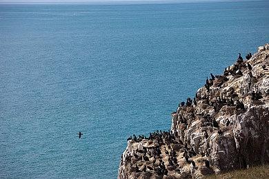 推出仅一年多 《星际朋克》服务器将于11月关闭